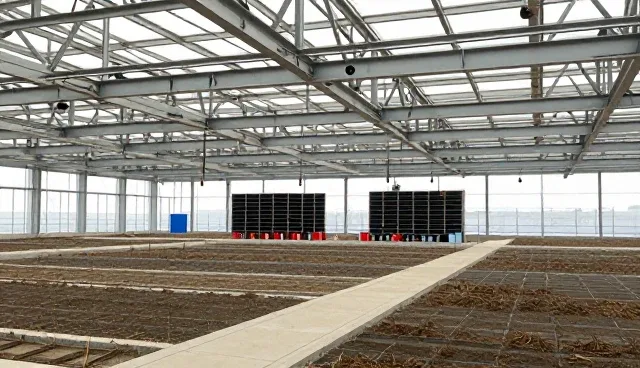 项目施工管理:常见问题与应用场景分析